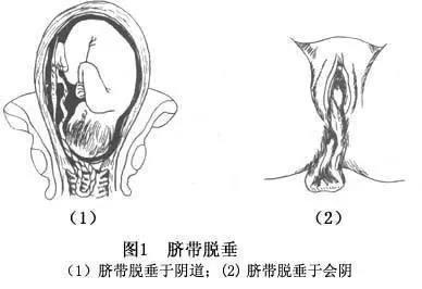 微信圖片_20180309164759.jpg 微信圖片_20180309164759.jpg