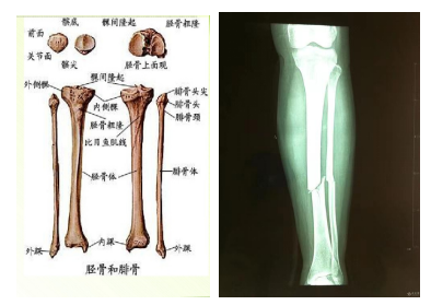 QQ截圖20220804113723.png QQ截圖20220804113723.png