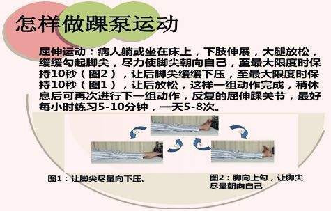 圖片17.jpg 圖片17.jpg